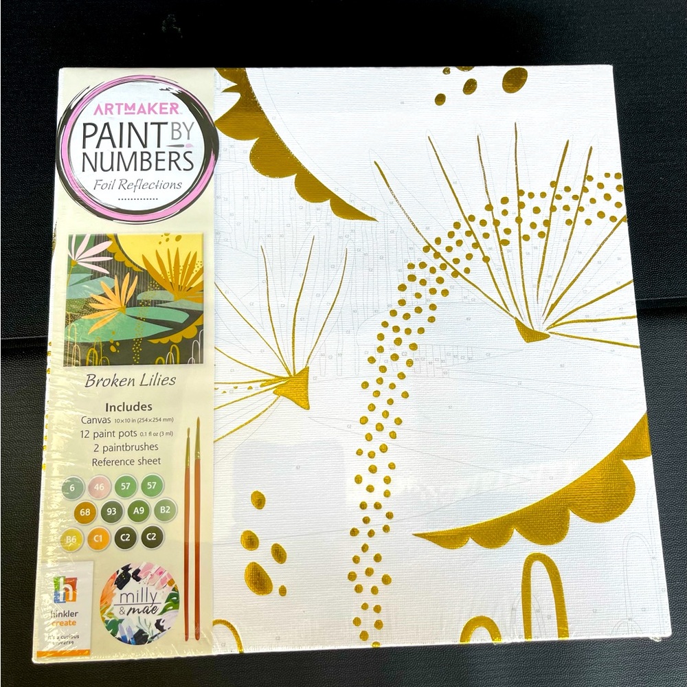 Paint By numbers pic